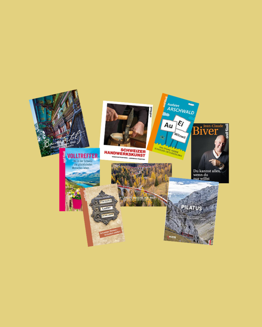 Buch-Konzept (Vorstudie)